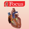 HEART -  Digital Anatomy - Focus Medica