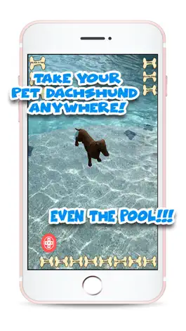 Game screenshot My Pet Dachshund hack