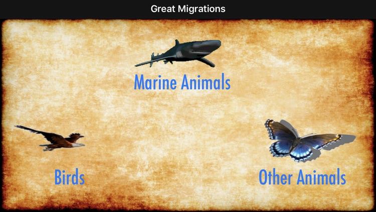 Great Migrations