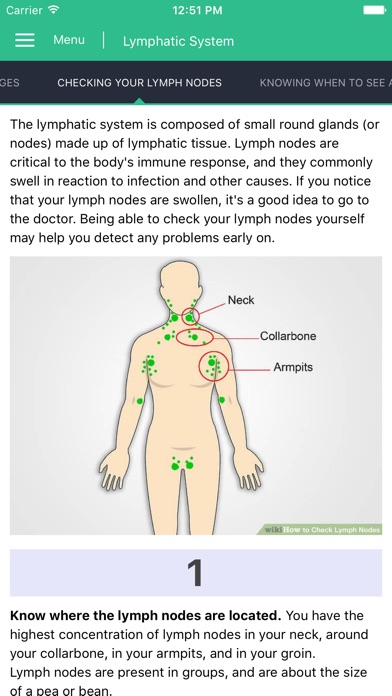 Lymphatic System Reference screenshot 3