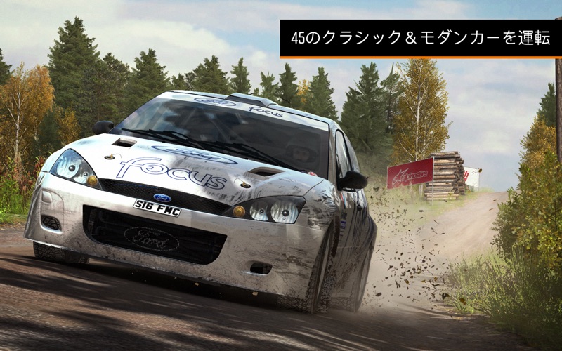 DiRT Rally screenshot1