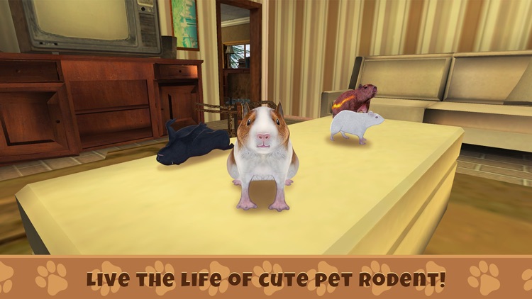 Guinea Pig Simulator Game