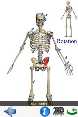 Visual Anatomy Lite screenshot 4