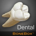 Top 25 Medical Apps Like BoneBox™ - Dental Lite - Best Alternatives