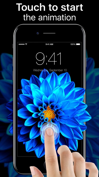 Live Wallpapers and Themes Now