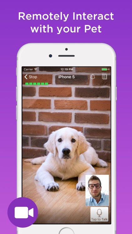 Pet Monitor screenshot-3
