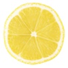 LemonDrop Photos