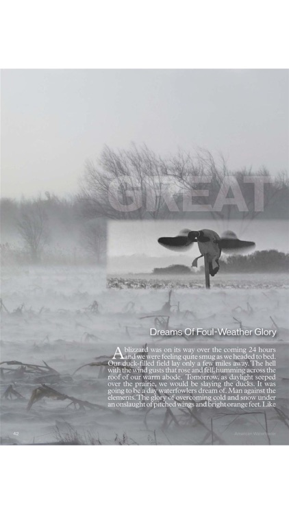American Waterfowler screenshot-3