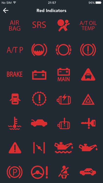Auto Guardian screenshot-3