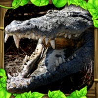 Wildlife Simulator: Crocodile PC 용