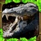 Stalk your prey through murky swamp waters and live life as a Crocodile