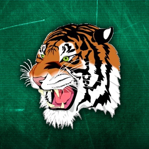 Tiger411 icon