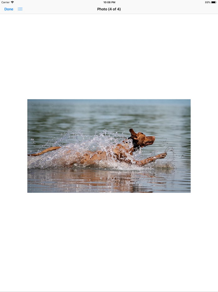 Water Dog Sticker Pack