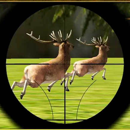 Extreme Deer Hunting Adventure Cheats