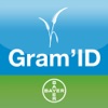 Bayer Gram'ID