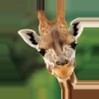 Top 29 Book Apps Like Animals of Africa - Best Alternatives