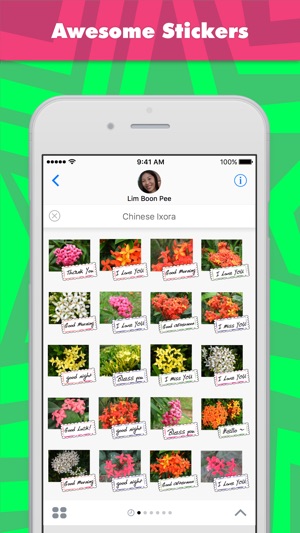 Chinese Ixora(圖1)-速報App