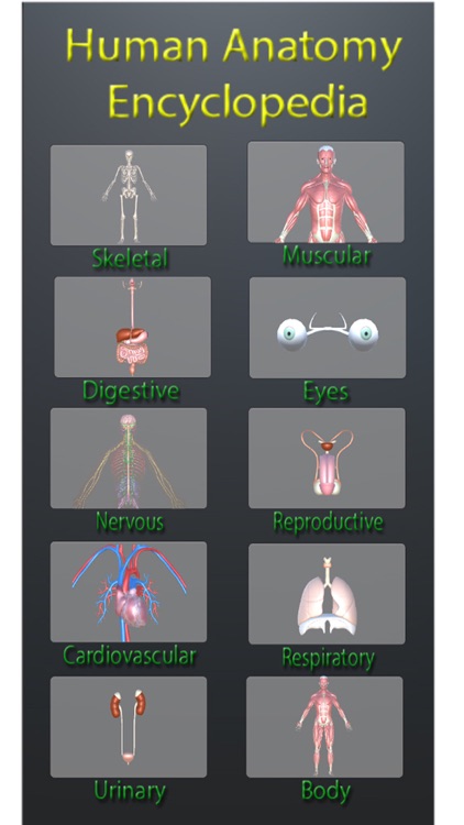 Human Anatomy Encyclopedia 3D screenshot-0