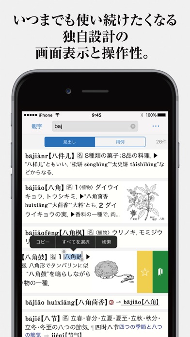 中日・日中辞典【第3版】 screenshot 2