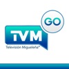TVM Go