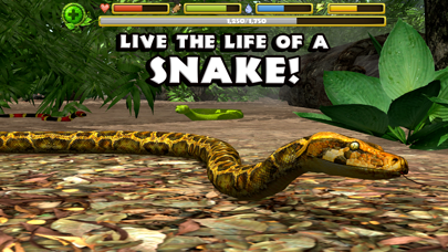 How to cancel & delete Snake Simulator from iphone & ipad 1