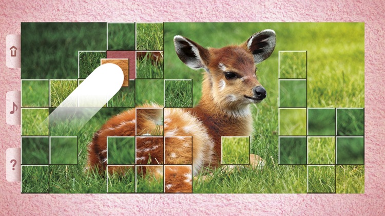 Little Animal Puzzles screenshot-5