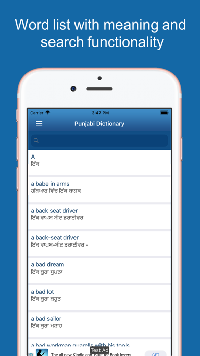 Punjabi Dictionary &Translator screenshot 2