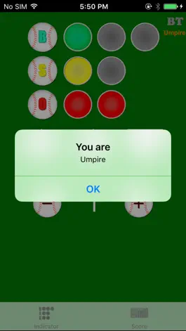 Game screenshot The umpire apk