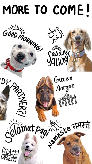 Good Morning Dogs Stickers(圖7)-速報App