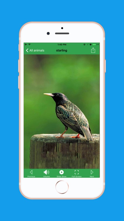 AnimalSounds screenshot-5