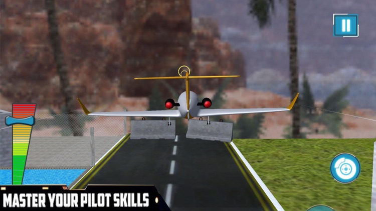 Airplane Flying Pilot Sim