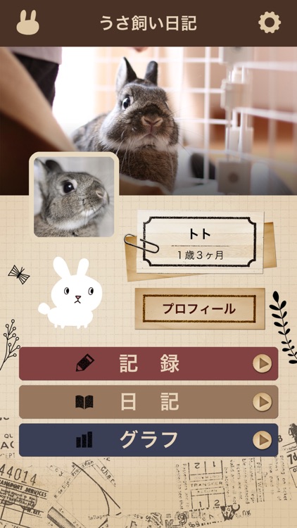 うさ飼い日記