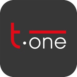 T.ONE NET CAM