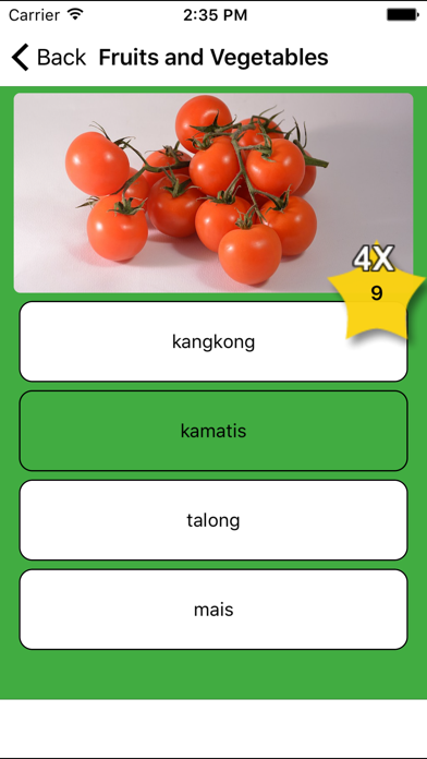 Learn Tagalog - Flash... screenshot1