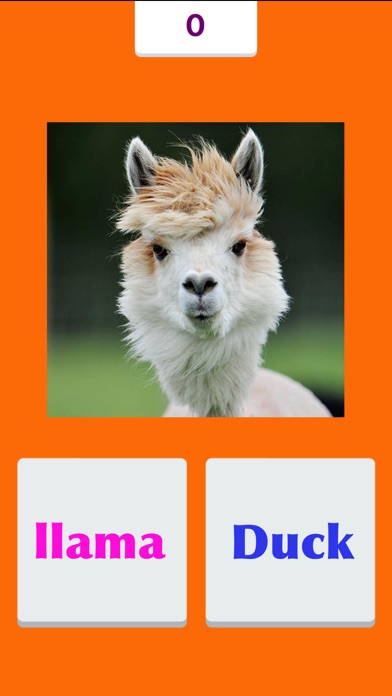 Tic Toc: Llama Duck screenshot 2