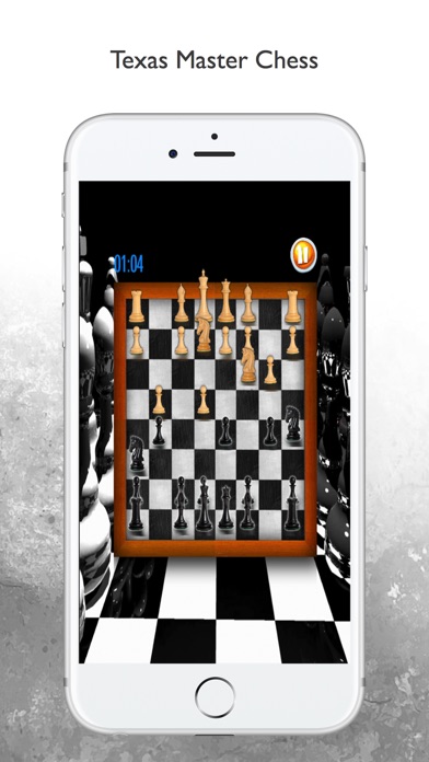 Texas Master Chess screenshot 3