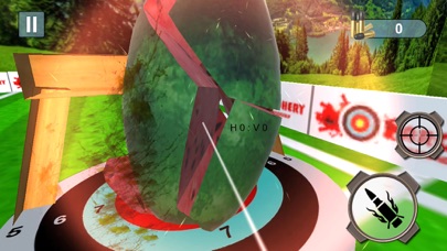 Fruit Shooter 3D Watermelon screenshot 3