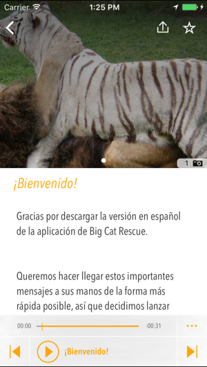 Grandes Felinos al Rescate(圖3)-速報App