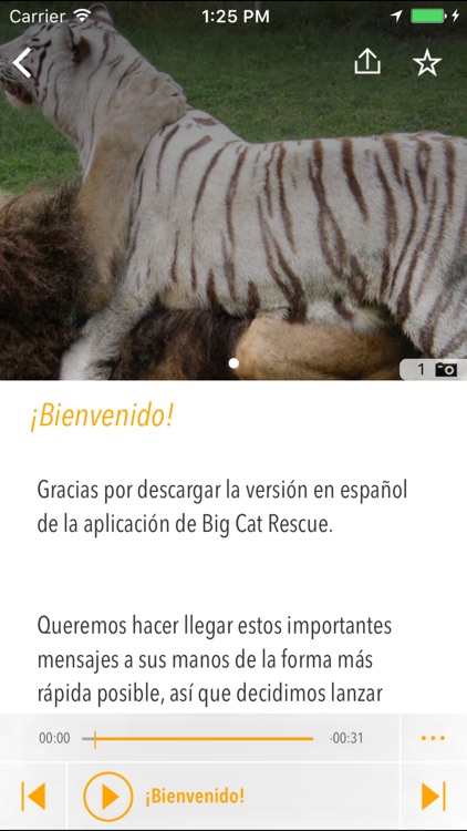 Grandes Felinos al Rescate