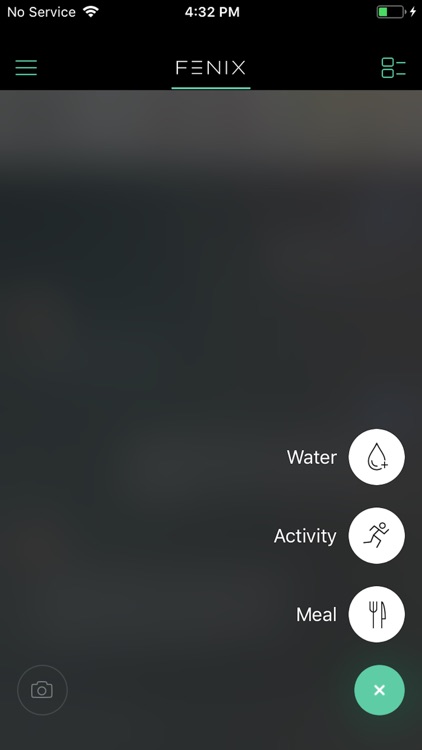 FENIX 1:1 nutrition consulting