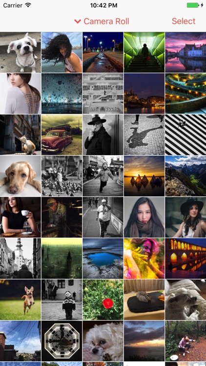 Metapho screenshot-0