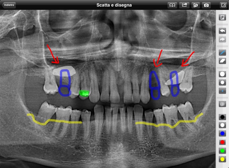 Dental Communication screenshot-3