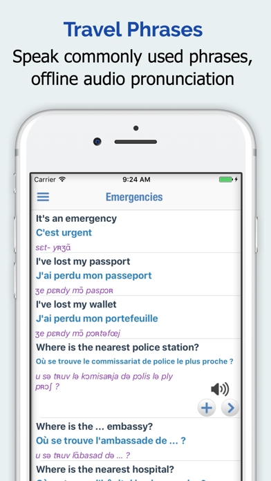 French Dictionary Pro Screenshot 4