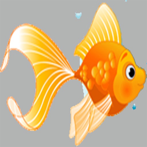 Little Fish with Math Trivia icon