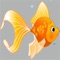 Catch as many orange fish as you can while trying to avoid the yellow fish