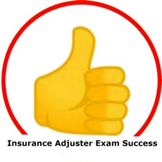 Activities of Insurance Adjuster Exam Succes