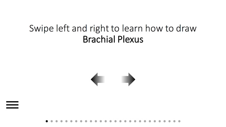 How to Draw Brachial Plexus