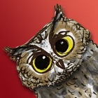 Rotate the Owl