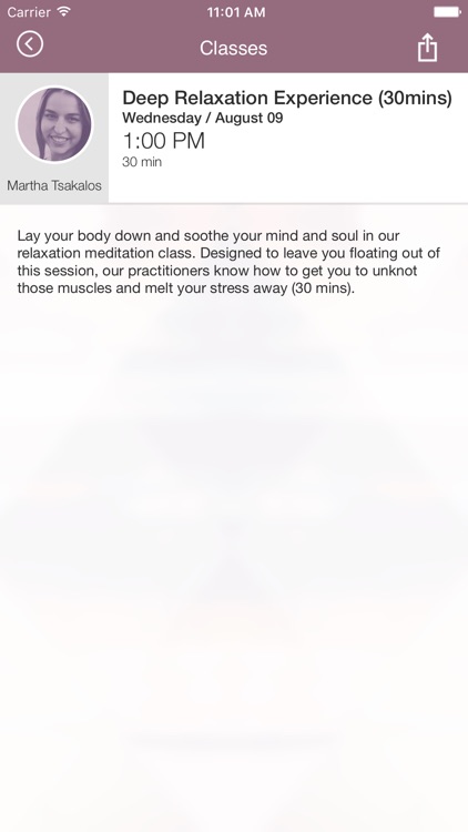 The indigo project screenshot-4