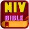 Icon NIV Bible Study